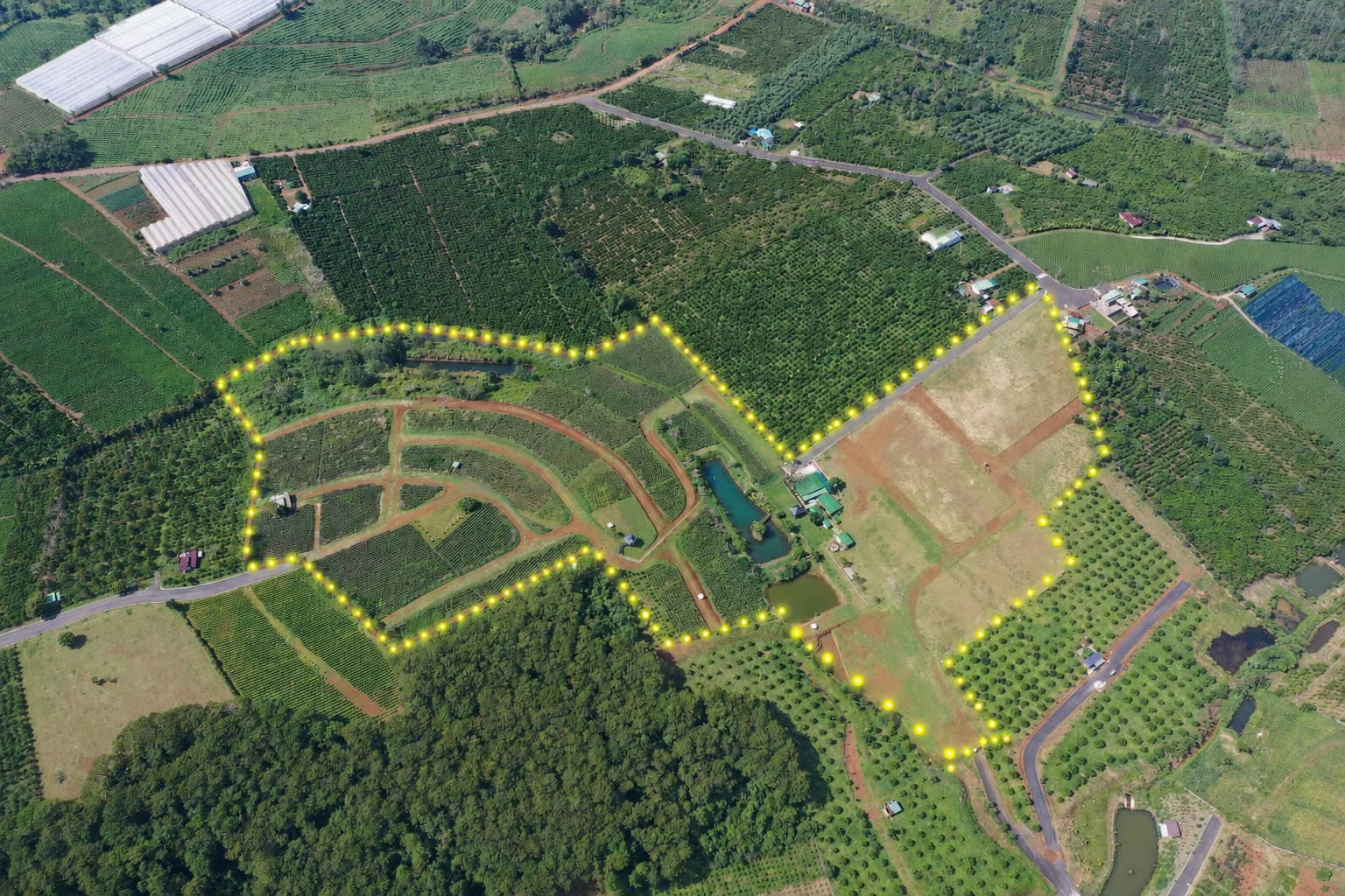 10ha Phường 2 Bảo Lộc