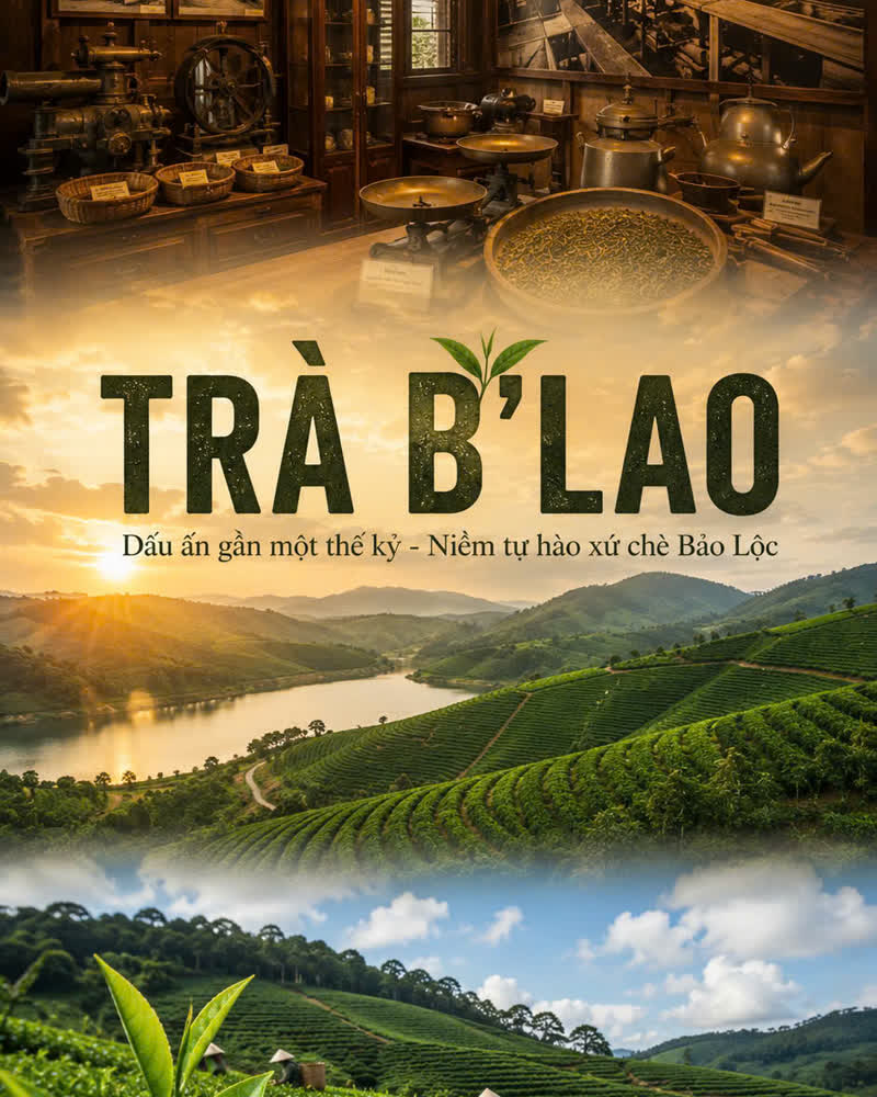 Xứ chè B'Lao